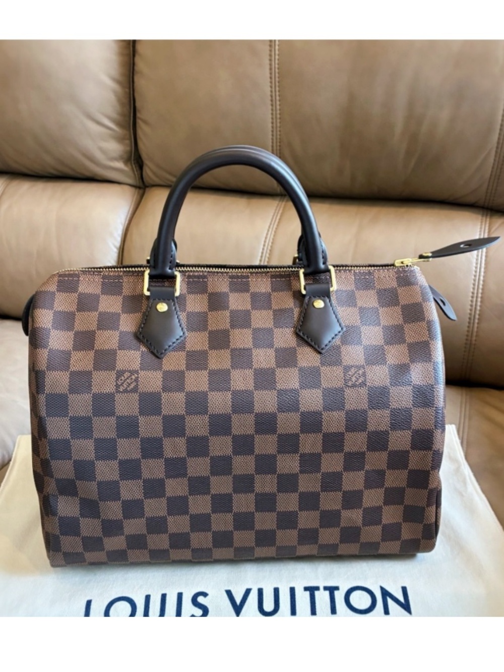 Microchip Louis Vuitton Classic Speedy 30 Damier Ebene Bag New Model
